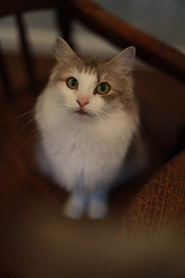 0W0A0466.JPG