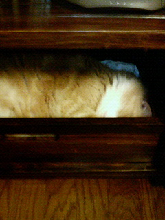 200602241347000.jpg