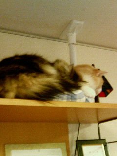 200603201445000.jpg