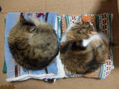 DSCF1180.JPG