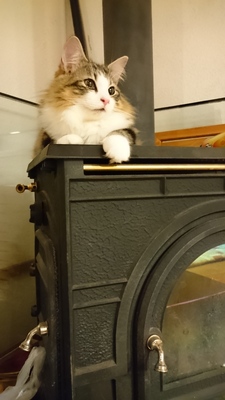 DSC_1936.JPG