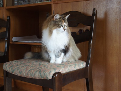 MAIA20170503-2.JPG
