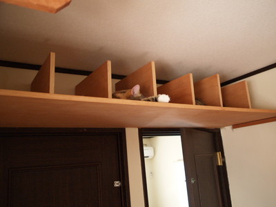 P1194500.JPG