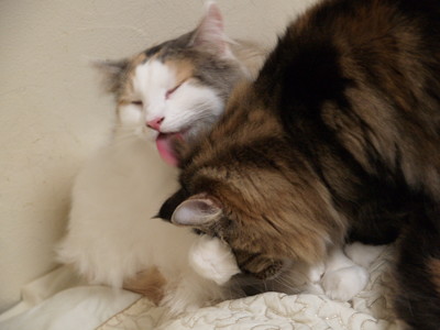 P2045876.JPG