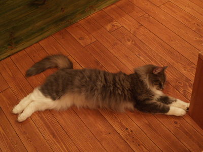 P3207739.JPG