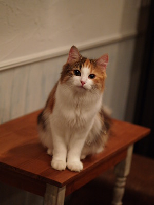 PA010345.JPG