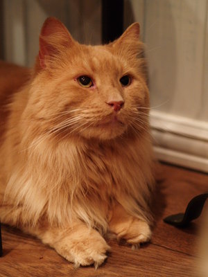 PA010377.JPG