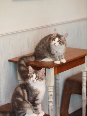 PA037407.JPG