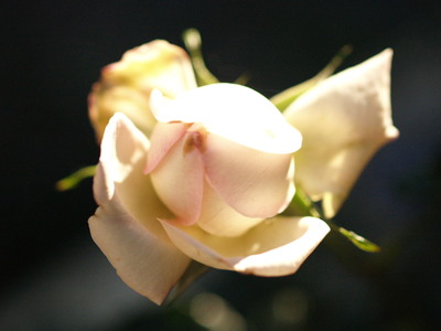 PB130760.JPG