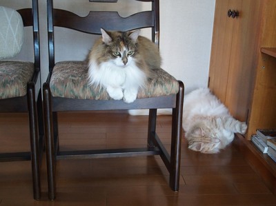SOL&MAIA20160518-1.JPG